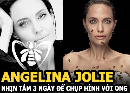 Angelina Jolie nhịn tắm nhiều ngày để chụp hình với ong, chia sẻ về chuyện hẹn hò gây bão