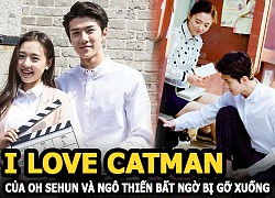 Catman của Oh Sehun - Ngô Thiến bất ngờ bị gỡ xuống chỉ sau vài giờ mặc dù có nụ hôn lên hot search