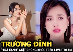 Truong Dinh - &quot;Green tea&quot; startled her husband to cry on the livestream, netizens threw stones: &quot;The old one is composing it&quot;