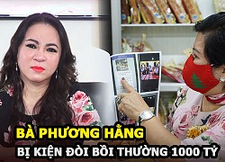 Nguyen Phuong Hang was sued, demanding compensation of VND 1,000 billion for touching this person