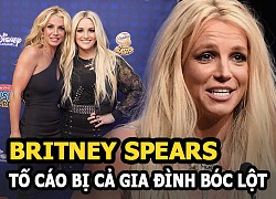 Britney Spears accused of being exploited by the whole family, her sister spoke up 