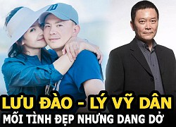 Lưu Đào - Lý Vỹ Dân: Mối tình đẹp nhưng dang dở, người thành vợ thảo, người vẫn lẻ bóng