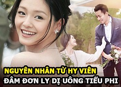 Nguyên nhân Từ Hy Viên đâm đơn ly dị Uông Tiểu Phi, lời chia sẻ của mẹ ruột và mẹ chồng gây sốt