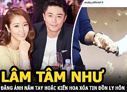 Lam Tam Nhu posted a picture of Huo Kien Hoa holding hands, deleting rumors of divorce, and netizens &quot;peeled&quot; old photos from the beginning of the year