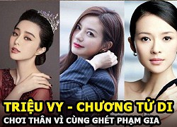 Triệu Vy - Chương Tử Di chơi thân vì cùng ghét Phạm Băng Băng, về sau trở mặt vì một đại gia?