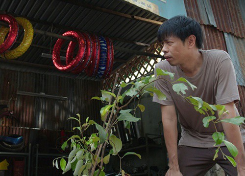 "Cây táo nở hoa" thu hút khán giả với nhiều phân đoạn kịch tính, xúc động