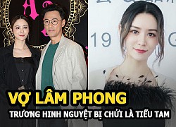 Vợ Lâm Phong - Trương Hinh Nguyệt bị chửi là tiểu tam, con gái thành "gái nhảy hộp đêm" giống mẹ