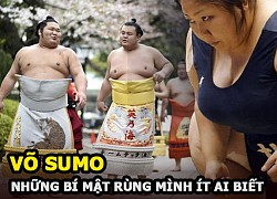 Martial Sumo - The &quot;national soul&quot; sport of Japan and its shivering secrets that few know 