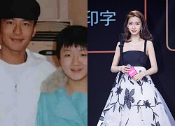 Huynh Xiaoming showed off his cousin winning Olympic gold, Angelababy did not congratulate