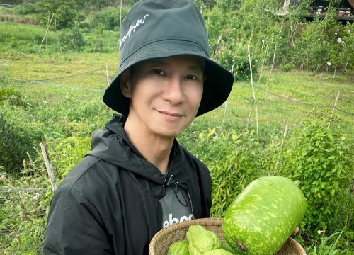 Mùa giãn cách của Lý Hải: đi làm vườn, thu hoạch ớt nửa tỷ/kg