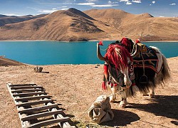 Mount Kailash - Tibet&#39;s impregnable holy place and mysterious stories