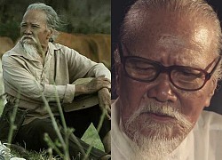 Artist Huu Thanh of the Southern Land passed away at the age of 88