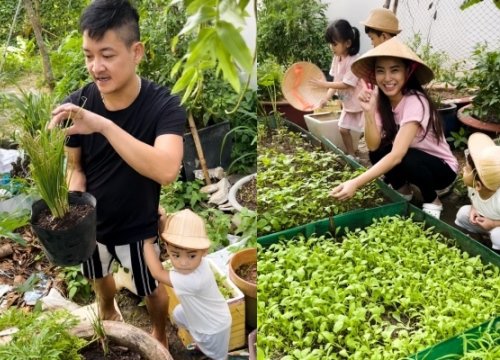 Vợ chồng Hải Băng khoe vườn rau xanh mướt tự trồng trong mùa dịch