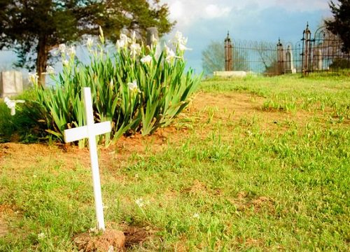 Đặt hoa lên mộ người lạ suốt 2 năm rưỡi, chàng trai ngỡ ngàng biết danh tính người chết, diễn biến sau đó khiến dân mạng xuýt xoa: "Hệt như phim"