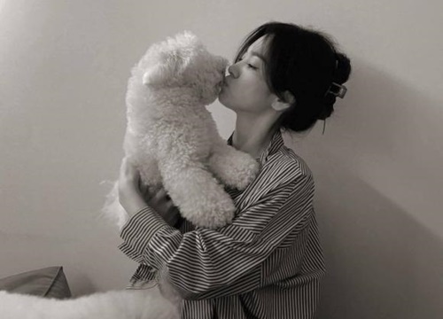 Song Hye Kyo hôn thú cưng, nhan sắc "đỉnh của chóp" vẫn gây tranh cãi