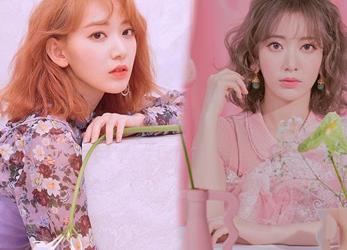 Sakura gây tranh cãi khi trở về Hàn và tiếp tục sự nghiệp idol Kpop