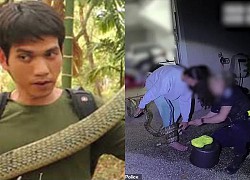 The &#39;terrible&#39; python slithered onto the altar, the man counterattacked, making everyone&#39;s heart flutter