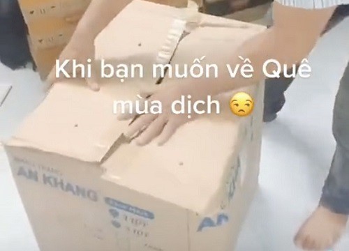 Cô gái gây tranh cãi vì đăng clip dạy cách "lách luật" về quê giữa mùa dịch