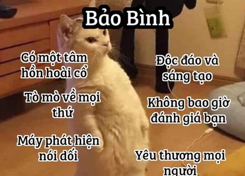 Những sự thật thú vị về 12 cung Hoàng đạo trong đời sống: Kim Ngưu khá ngốc nghếch, Xử Nữ đại diện cho phe công lý