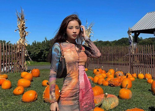 So ảnh sao Việt chụp cùng bí ngô: Người được khen ngợi, kẻ bị "ném đá"