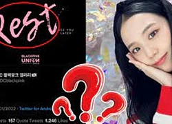 Fan Jisoo giận sôi máu khi vừa tung "thính" solo thì bị hàng loạt fanbase của BLACKPINK ghét bỏ?