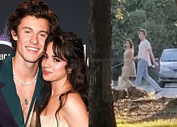 Camila Cabello and Shawn Mendes were &quot;caught alive&quot; on a date in the park after 2 months of breaking up