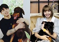 Lisa (BLACKPINK) đăng ảnh hé lộ "hint" hẹn hò với Jungkook (BTS), tính công khai luôn hay gì?