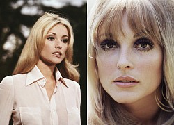 Sharon Tate - Hollywood beauty monument was forced by her husband to have an abortion and called her &quot;dumb&quot;, short life at the age of 26