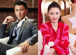 Nicholas Tse finally revealed the truth about his divorce from Truong Ba Chi