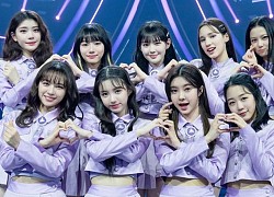 Nữ idol KEP1ER đổi đời khi tái debut: Tốc độ nhận cúp nhanh gấp 100 lần nhóm cũ, vượt luôn BLACKPINK