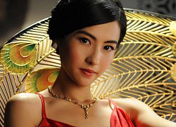 Tạ Đình Phong tặng con nhà sang, Trương Bá Chi cự tuyệt
