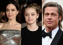 Angelina Jolie affects Shiloh&#39;s sexual orientation, making Brad Pitt angry to say this?