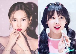 Nayeon (TWICE) found a &quot;lost sister&quot;: Visually identical, vocals are better than seniors when covering the same song?