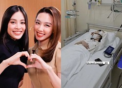 Miss Tieu Vy&#39;s health is alarming, fans are worried that they will miss a charity trip to the Central region with Thuy Tien?