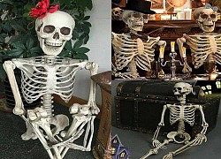 Cách trang trí nhà đón Halloween 2022 ấn tượng, độc đáo