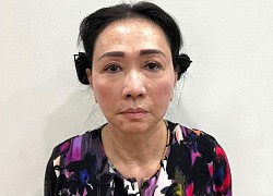 Bắt nữ tỉ phú Trương Mỹ Lan, Chủ tịch Tập đoàn Vạn Thịnh Phát