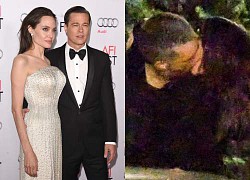 Brad Pitt nhận tin buồn, tâm trạng đang rối bời giữa vụ kiện với Angelina Jolie?