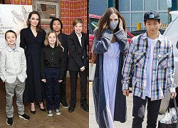 Pax Thien and mature siblings kindly ask Angelina Jolie to do a special, rare thing