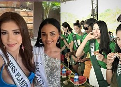 Miss Planet International was accused of cheating, exposing the truth of beauty contests: Starving, having to eat fast?