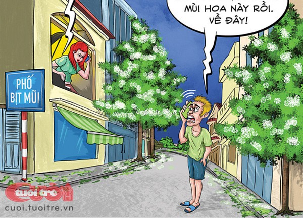 Biển số xe '49 chưa qua, 53 đã tới'
