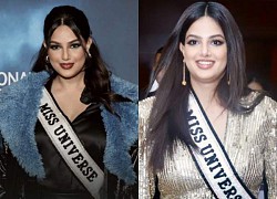 Miss Universe Harnaaz responded in shock when she was constantly disparaged for her appearance: Anti Fan muted