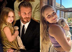 Harper Beckham - Công chúa nhà Beckham bộc lộ nhiều tài năng đặc biệt, thừa hưởng từ cả cha và mẹ