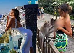 Miss Peru dressed sexily, 'groped' and slapped in face by monkey in Bali