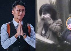 Revealing a photo of Wang Fei holding his face and crying in the middle of the road, questioning problems with Xie Tingfeng