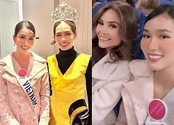 Miss International is stressed because of Phuong Anh: Calculated, looks like a twin to the reigning Miss