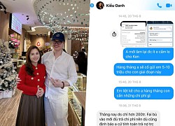 &#39;Mr Tam&#39; Thien An continues to &#39;counter-dame&#39;, denouncing his wife&#39;s dishonesty, insulting his mother-in-law