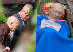 'Thầy ông nội' Lê Tùng Vân xin hoãn thi hành án: '91 tuổi Tây, 92 tuổi ta, sức yếu, nhiều bệnh tật'