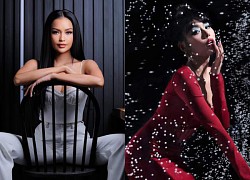 Ngoc Chau messed up on the way to Miss Universe, Thao Nhi Le made a commotion