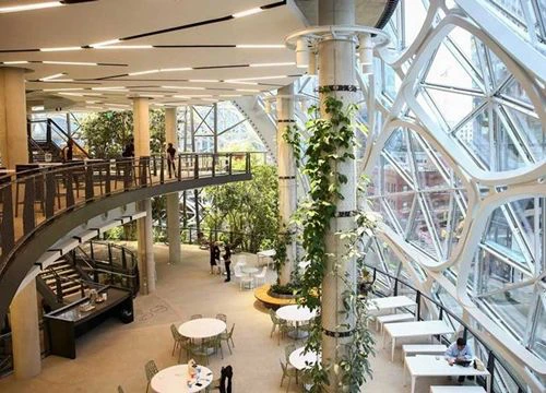 Amazon, Intel, Paypal lo mất nhân tài khi từ chối nhân viên làm việc từ xa