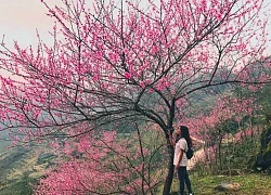 Hà Giang mùa xuân rồi, em sẽ quay lại chứ?